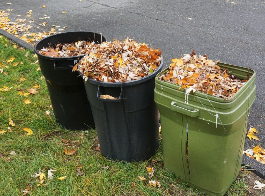 yard waste removal in Canonsburg