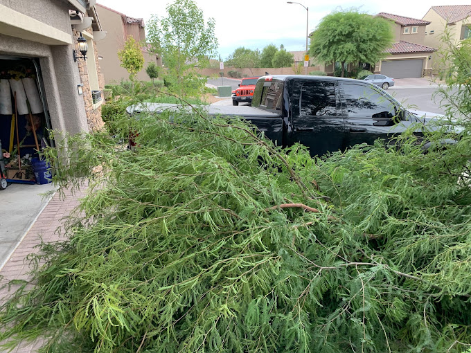 professional-yard-waste-removal-canonsburg