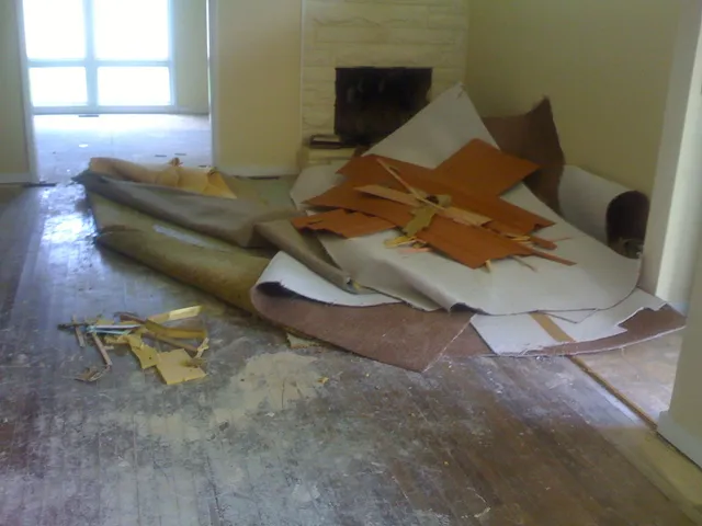 Flooring and carpet debris Removal Canonsburg