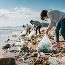 Eco-friendly cleanup and disposal service Canonsburg, PA