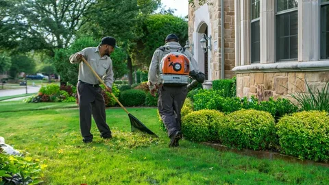 spring cleanouts