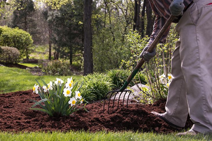 Best Time for Yard Waste Removal in McMurray, PA