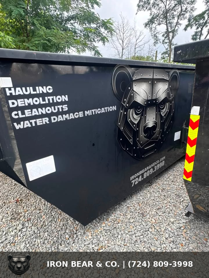 Iron Bear & Co. roll-off dumpster on a job site