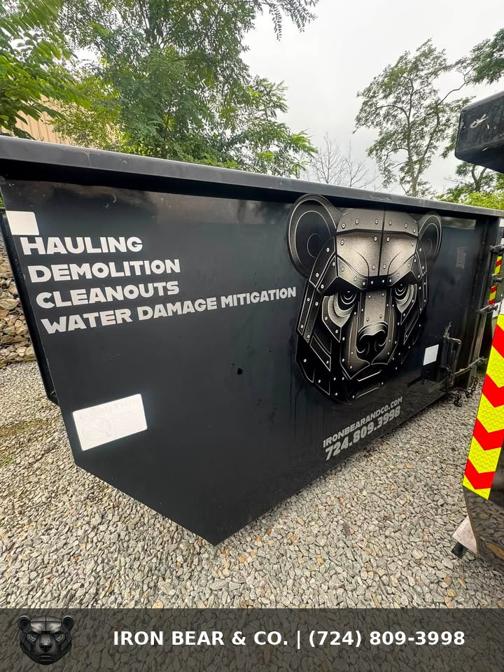 Iron Bear & Co. roll-off dumpster for hauling, demolition and cleanouts
