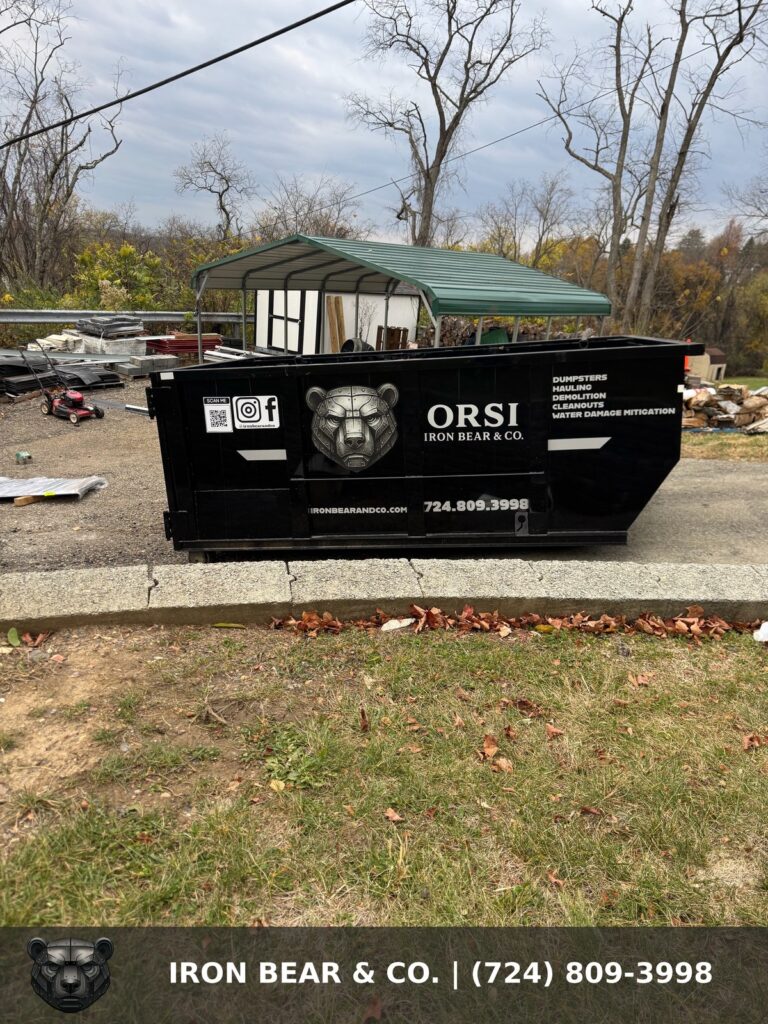 Iron Bear & Co. dumpster placed on a residential driveway in the Canonsburg area
