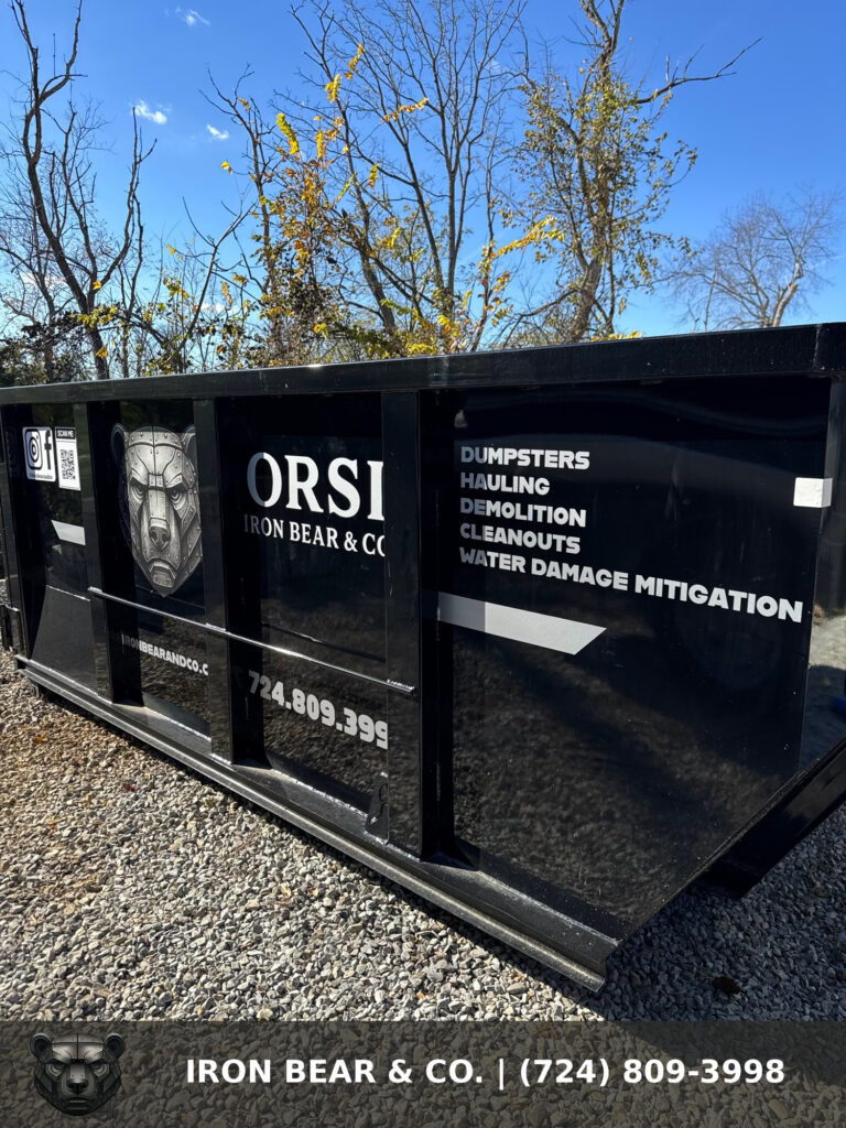 Black Iron Bear & Co. roll-off dumpster lettered for dumpsters, hauling, demolition, and cleanouts, parked on gravel with fall trees behind